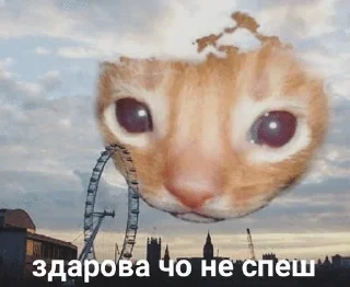 🌟 emoji Зумер Telegram sticker 10 of 18
