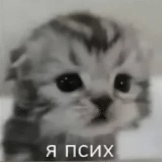🌟 emoji Зумер Telegram sticker 8 of 18