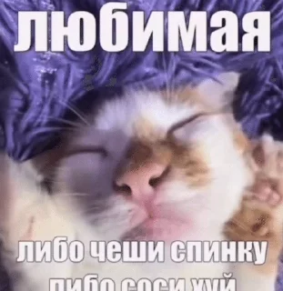 🌟 emoji Зумер Telegram sticker 9 of 18