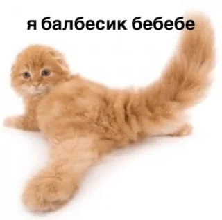 🌟 emoji Зумер Telegram sticker 5 of 18
