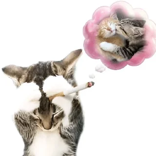 Sticker from Зумер