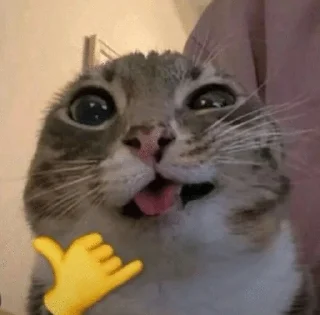 🌟 emoji Зумер Telegram sticker 13 of 18