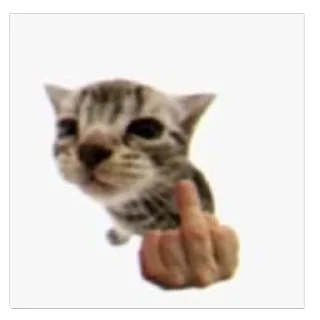 Sticker from Зумер