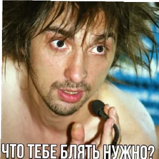 ❓ emoji Панки хой горшок живой Telegram sticker 13 of 30