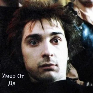 🎉 emoji Панки хой горшок живой Telegram sticker 16 of 30
