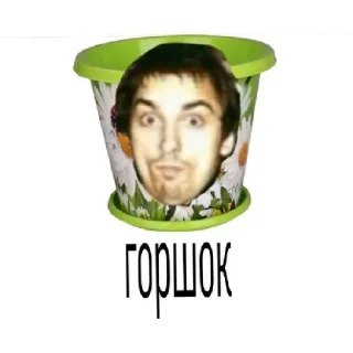 🎄 emoji Панки хой горшок живой Telegram sticker 24 of 30