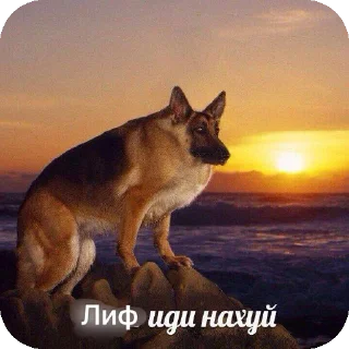 🐶 emoji Детдом🧌🇬🇧 pack by @QuotLyBot Telegram sticker 17 of 64