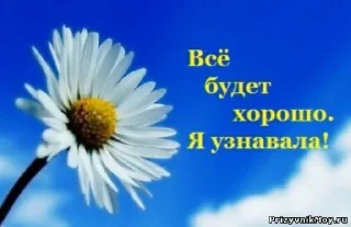 💙 emoji новикова анна Telegram sticker 19 of 117