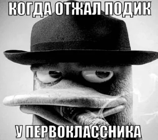💮 emoji новикова анна Telegram sticker 12 of 117