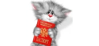 🌟 emoji ВЕСЕЛЫЕ КОТЫ Алексея Долотова Telegram sticker 14 of 90