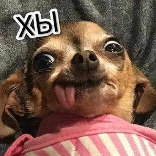 😁 emoji Favorite stickers Telegram sticker 23 of 120
