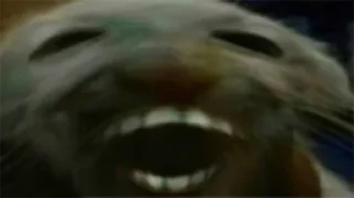 Sticker from 7TV Emotes