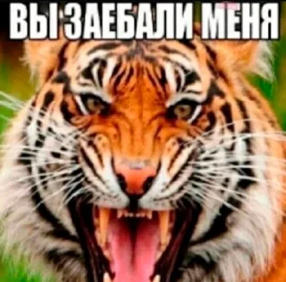 Sticker from битбокс батл с яйцами