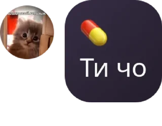 Sticker from чат монке🐒 pack by @QuotLyBot