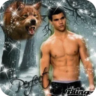 Sticker from JACOB BLACK/TAYLOR LAUTNER