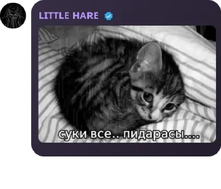 😔 emoji Общалка pack by @QuotLyBot Telegram sticker 1 of 120