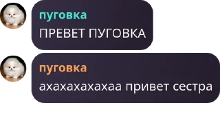 🧘‍♀️ emoji общалка школы Telegram sticker 1 of 120