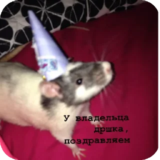 Sticker from Стикеры для канала Cheese