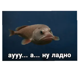 Sticker from Рыба-капля