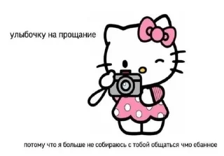 📷 emoji @cutecat9945 Telegram sticker 17 of 119