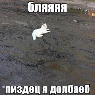 Sticker from Надристал Стиля 3