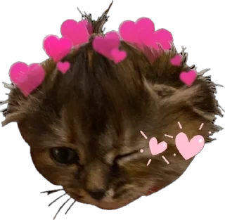 🥰 emoji Stuck Rooster Telegram sticker 22 of 104