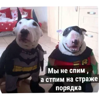 Sticker from Моменто