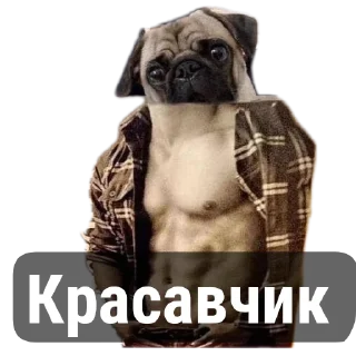 Sticker from Моменто