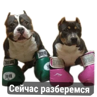 Sticker from Моменто