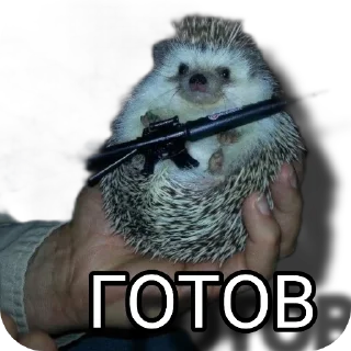 Sticker from Моменто