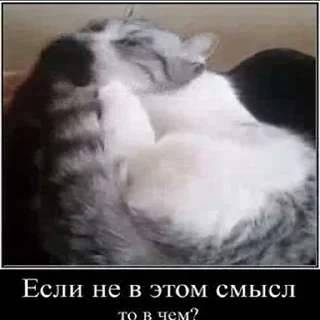🍆 emoji Создай свои стикеры - @sozdsti_bot Telegram sticker 4 of 43