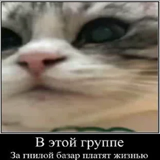 🪓 emoji Создай свои стикеры - @sozdsti_bot Telegram sticker 16 of 43