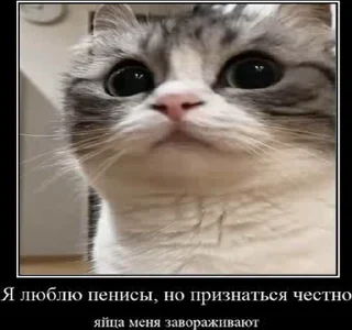 😋 emoji Создай свои стикеры - @sozdsti_bot Telegram sticker 21 of 43