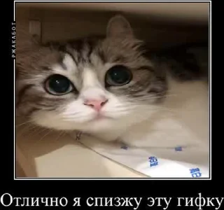 🤓 emoji Создай свои стикеры - @sozdsti_bot Telegram sticker 22 of 43