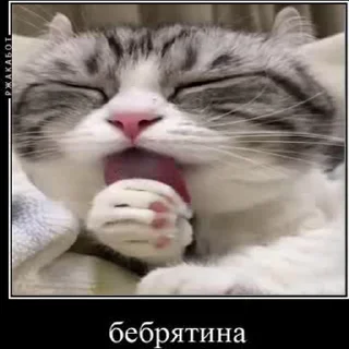 😋 emoji Создай свои стикеры - @sozdsti_bot Telegram sticker 14 of 43