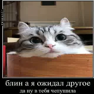 😒 emoji Создай свои стикеры - @sozdsti_bot Telegram sticker 17 of 43