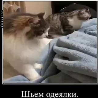 🛠 emoji Создай свои стикеры - @sozdsti_bot Telegram sticker 5 of 43