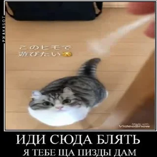 🤬 emoji Создай свои стикеры - @sozdsti_bot Telegram sticker 7 of 43