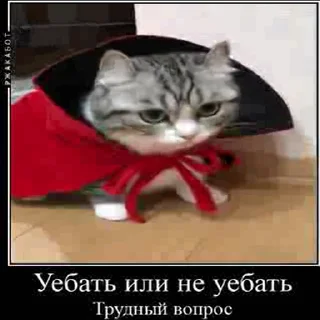 😡 emoji Создай свои стикеры - @sozdsti_bot Telegram sticker 13 of 43