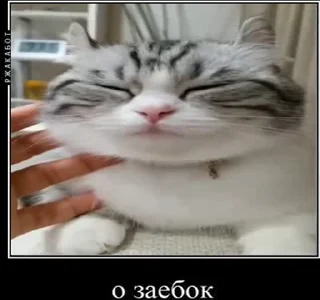 😋 emoji Создай свои стикеры - @sozdsti_bot Telegram sticker 23 of 43