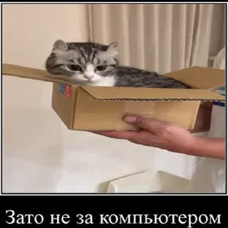😃 emoji Создай свои стикеры - @sozdsti_bot Telegram sticker 18 of 43