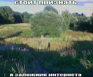Sticker from жиза