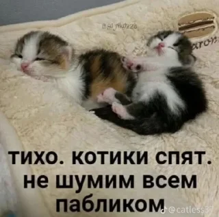 Sticker from щовел