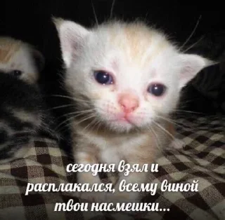 Sticker from Смешнявки