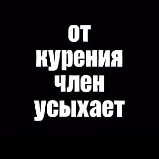 🕷️ emoji водила чувствует мой вайб Telegram sticker 16 of 23