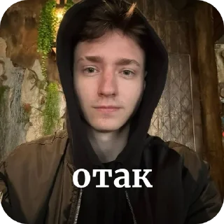 😎 emoji домерняшка☆ Telegram sticker 7 of 24