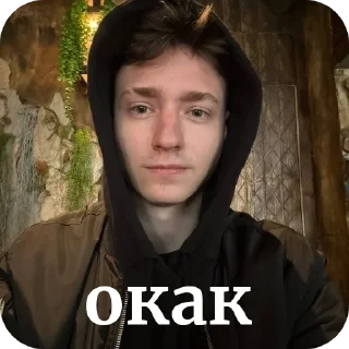 😎 emoji домерняшка☆ Telegram sticker 6 of 24