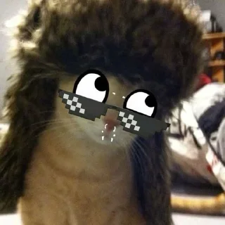 🌟 emoji cat meow -- @wrpog Telegram sticker 6 of 53