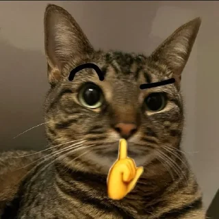 🌟 emoji cat meow -- @wrpog Telegram sticker 3 of 53