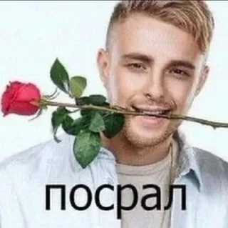 💩 emoji Больше стиков тут: @stikery4 Telegram sticker 14 of 120